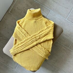 Lauren Ralph Lauren Aran Knit Turtleneck
